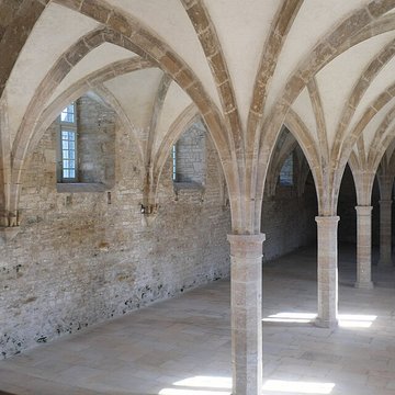 Abbaye de Cluny