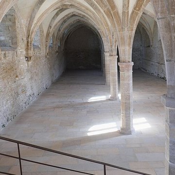 Abbaye de Cluny