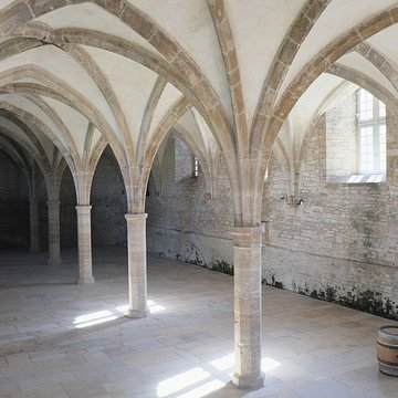 Abbaye de Cluny