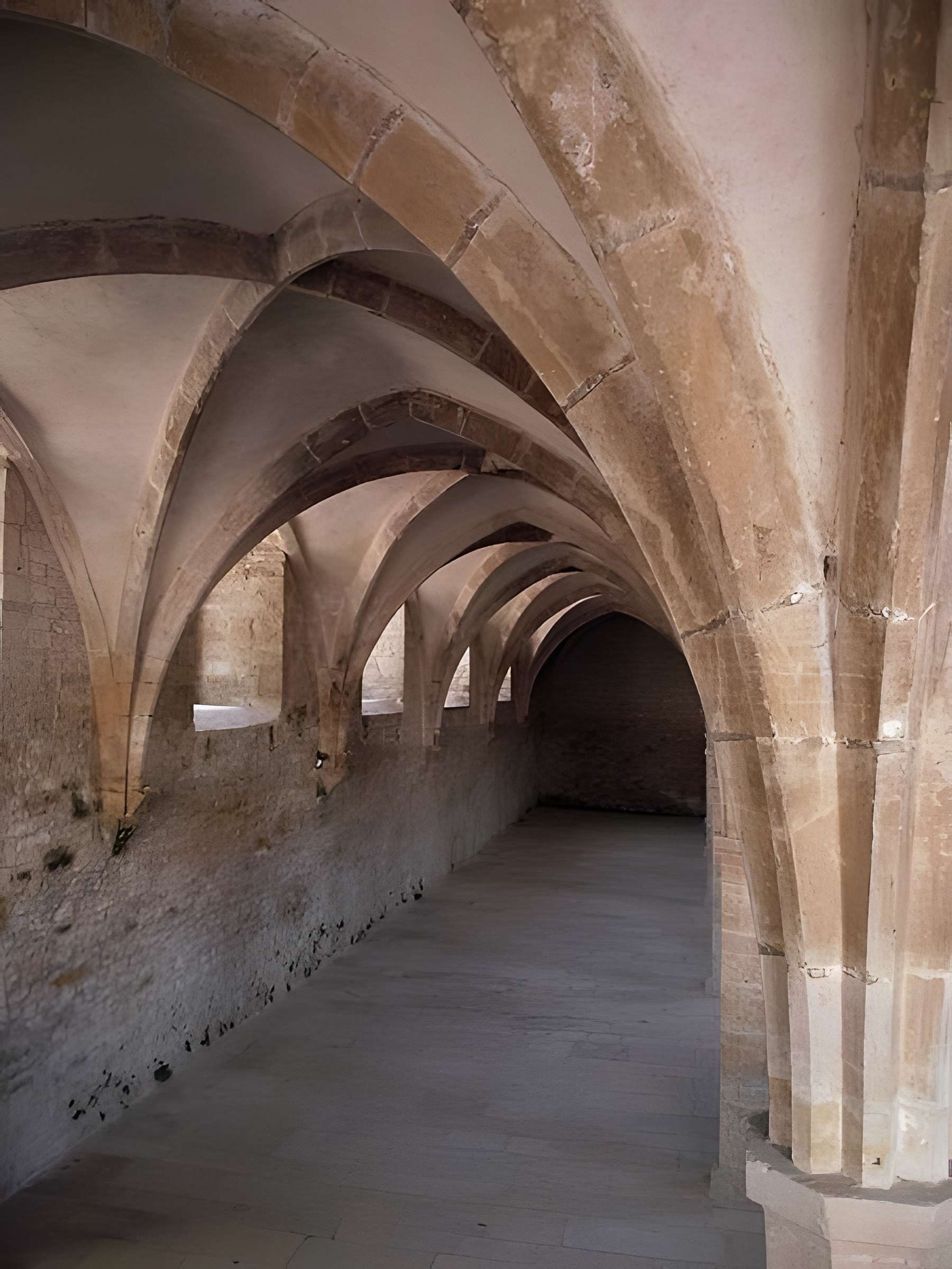 Abbaye de Cluny