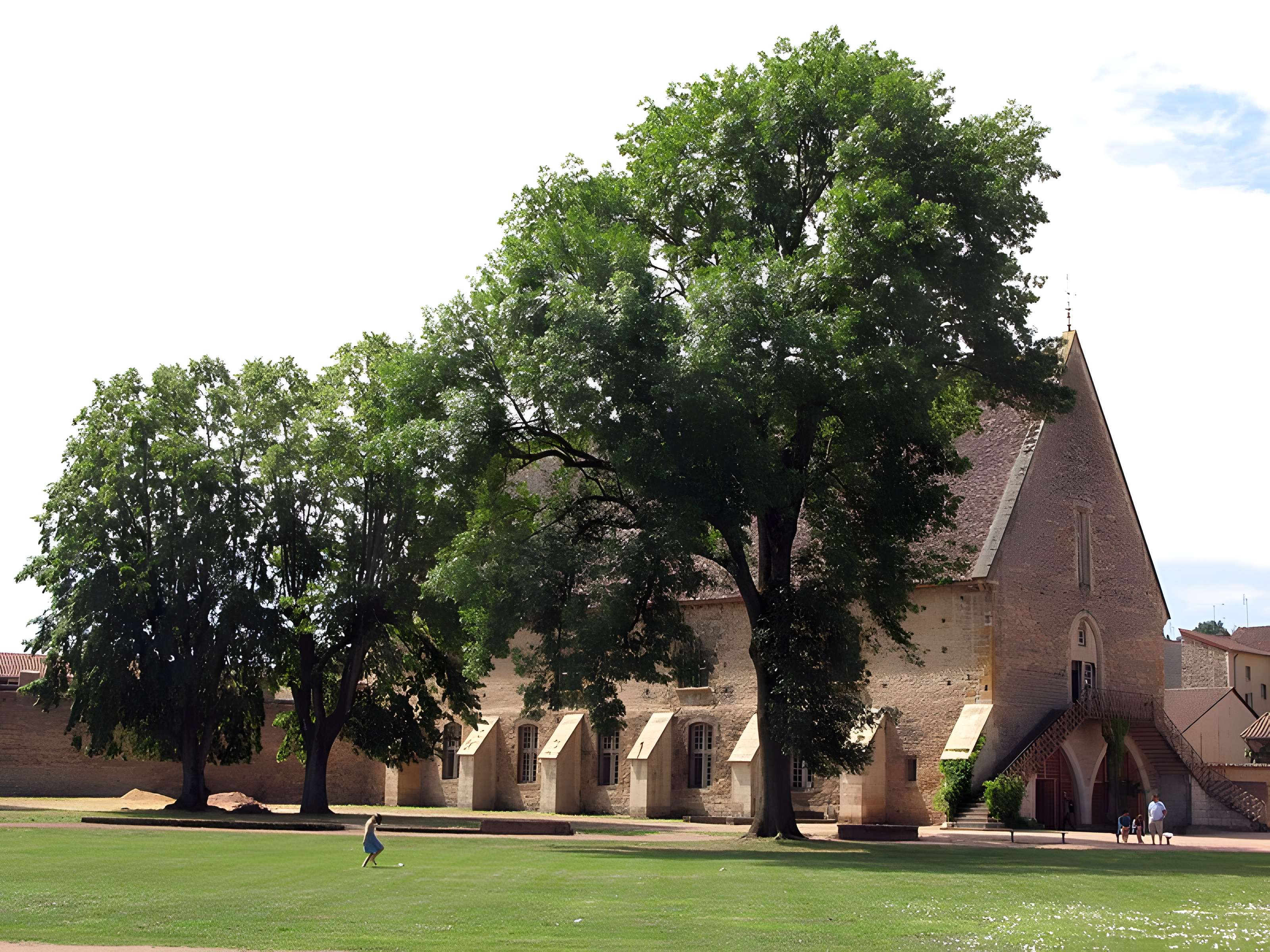 Abbaye de Cluny