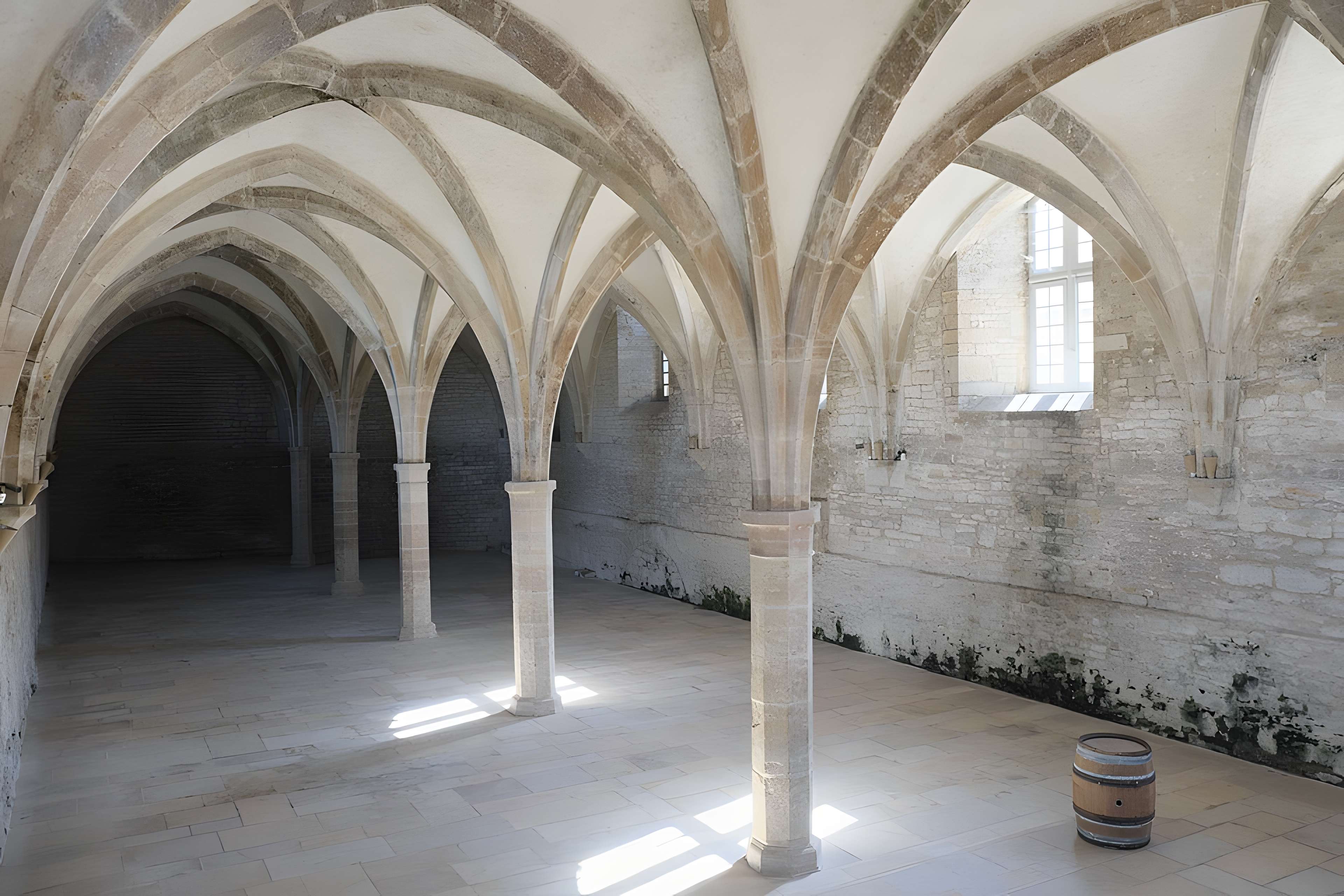 Abbaye de Cluny