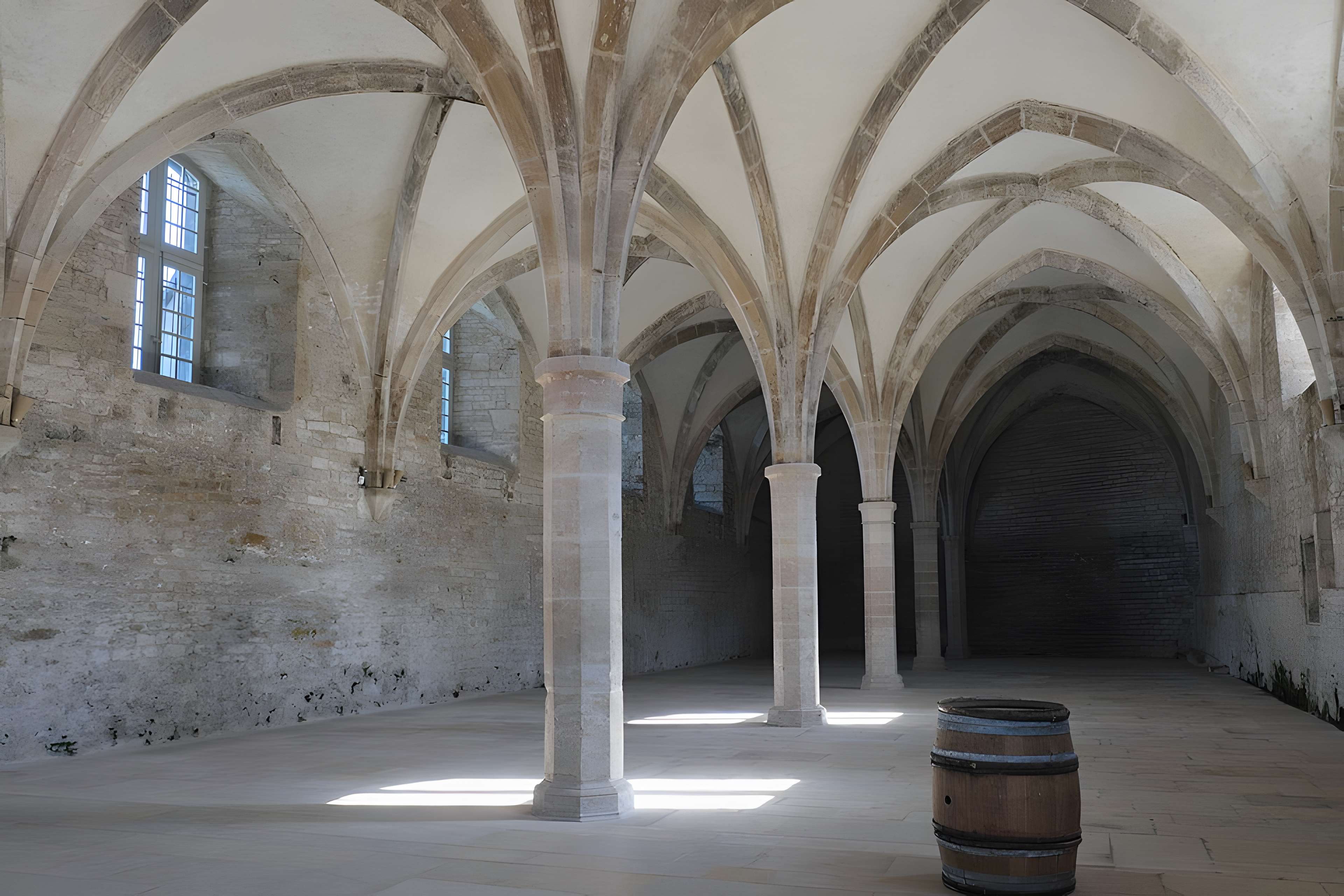 Abbaye de Cluny