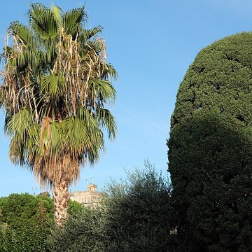 Château Grimaldi de Cagnes-sur-Mer