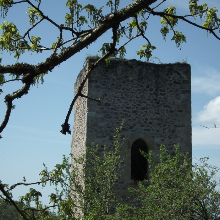 Photo de Château Inférieur de Peyrusse-le-Roc