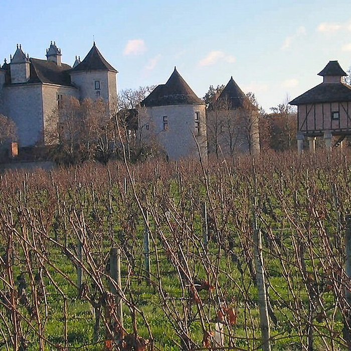 Photo de Château Lagrézette
