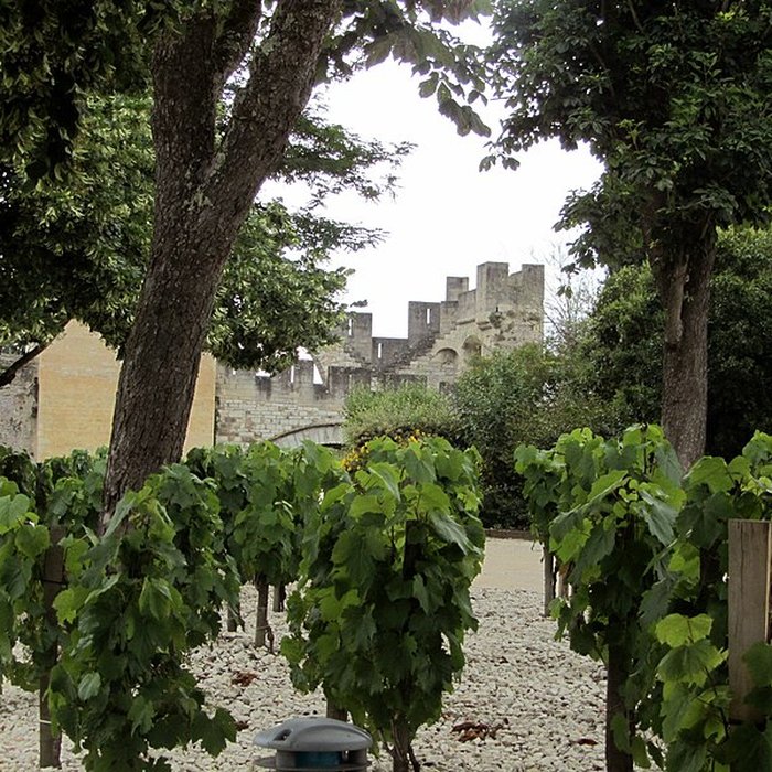 Photo de Château Lagrézette