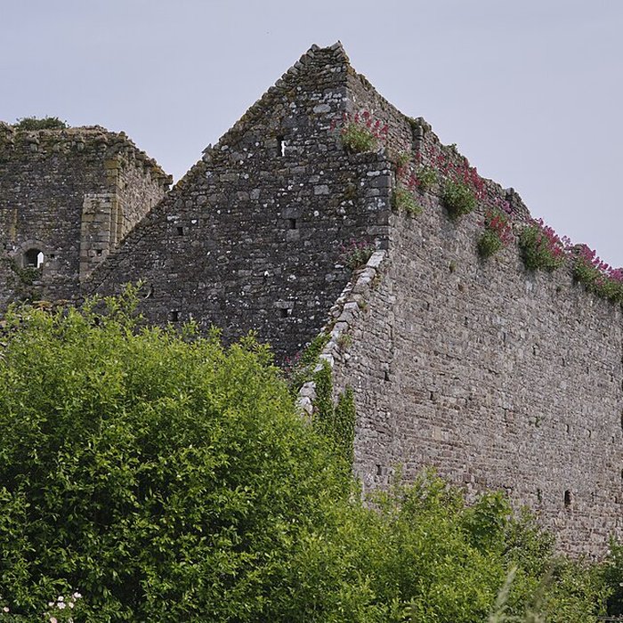 Photo de Château médiéval de Regnéville sur Mer