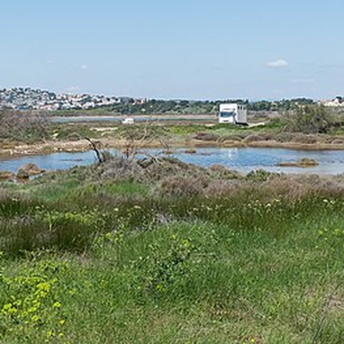 Photo de Vivier antique du lac des Capelles