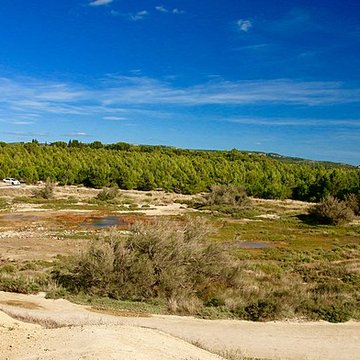 Vivier antique du lac des Capelles