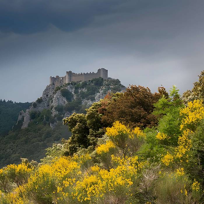 Photo de Ruinen der Burg