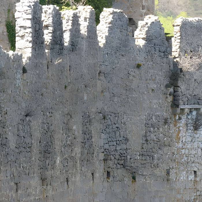 Photo de Ruinen der Burg