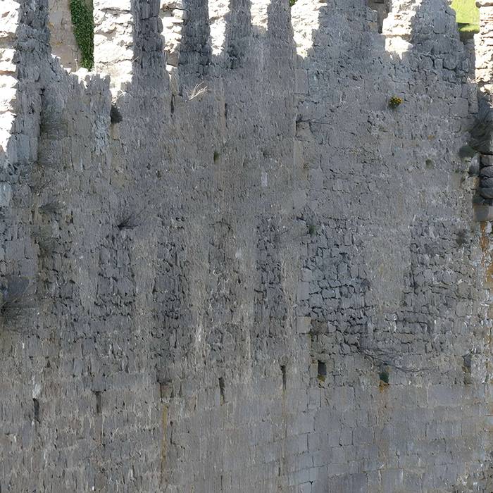 Photo de Ruinen der Burg