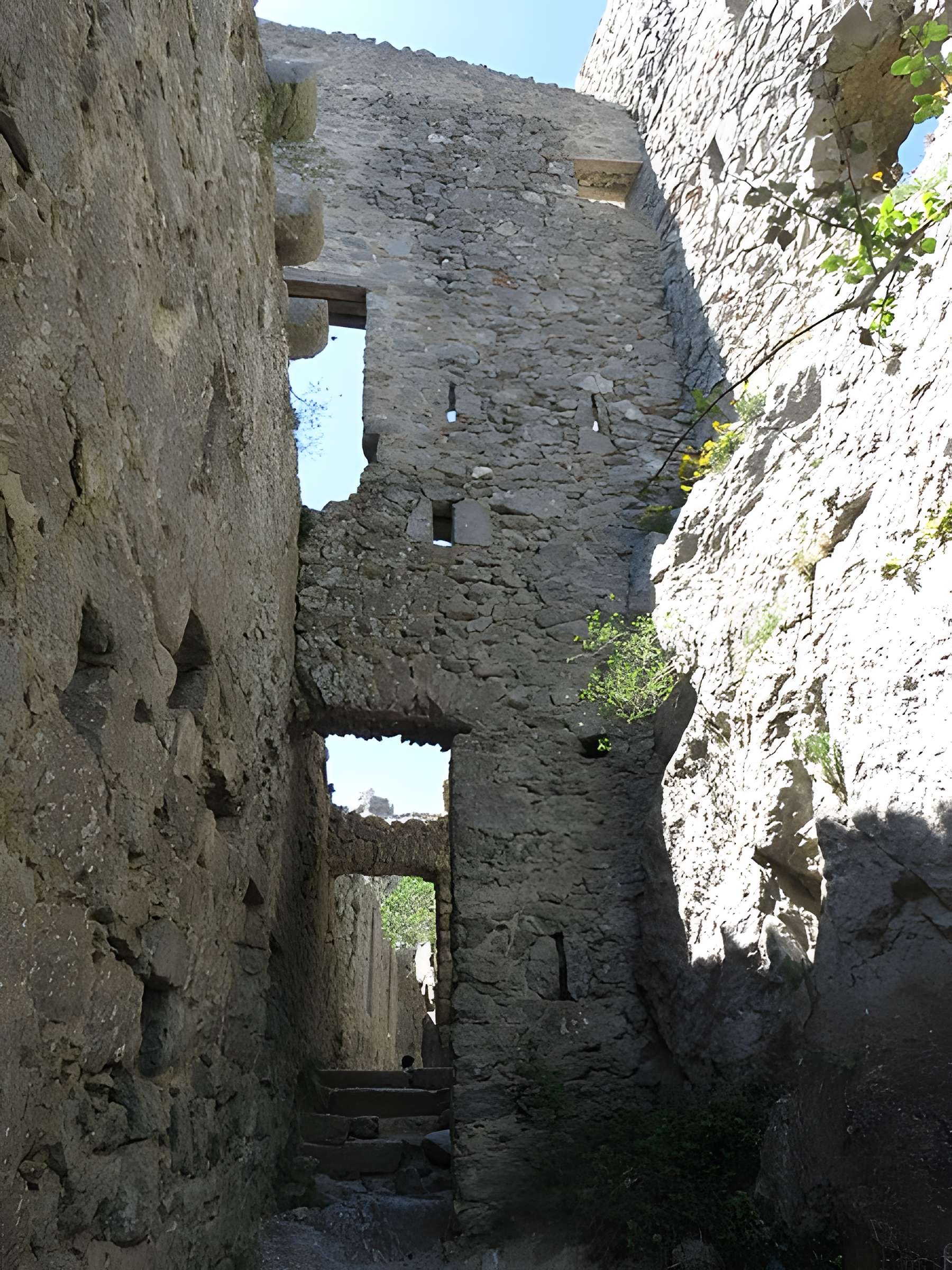 Ruines du château