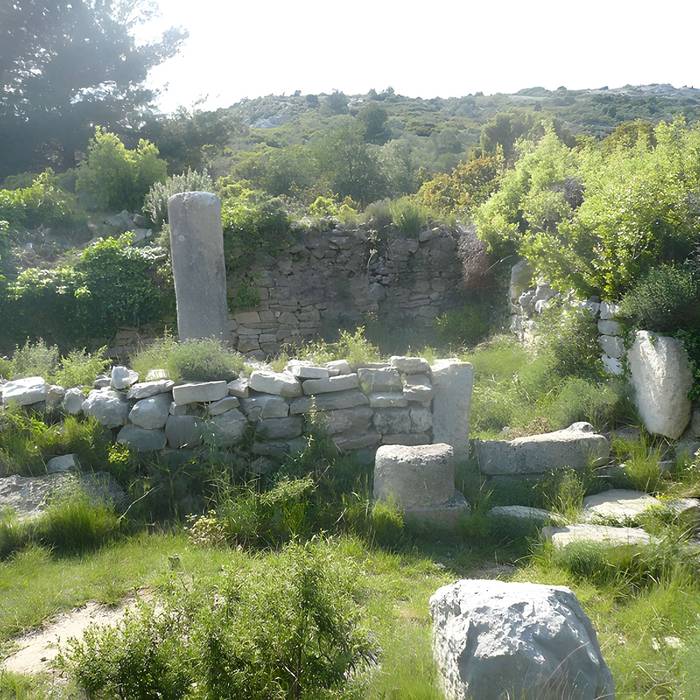 Photo de Miles and remains of habitat