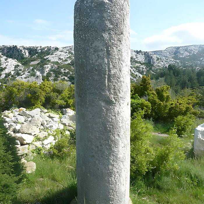 Photo de Miles and remains of habitat