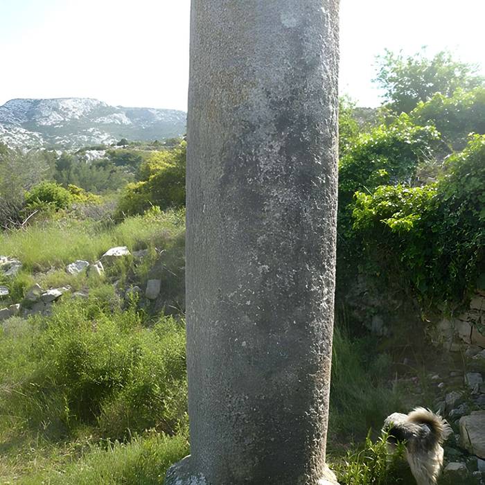 Photo de Miles and remains of habitat