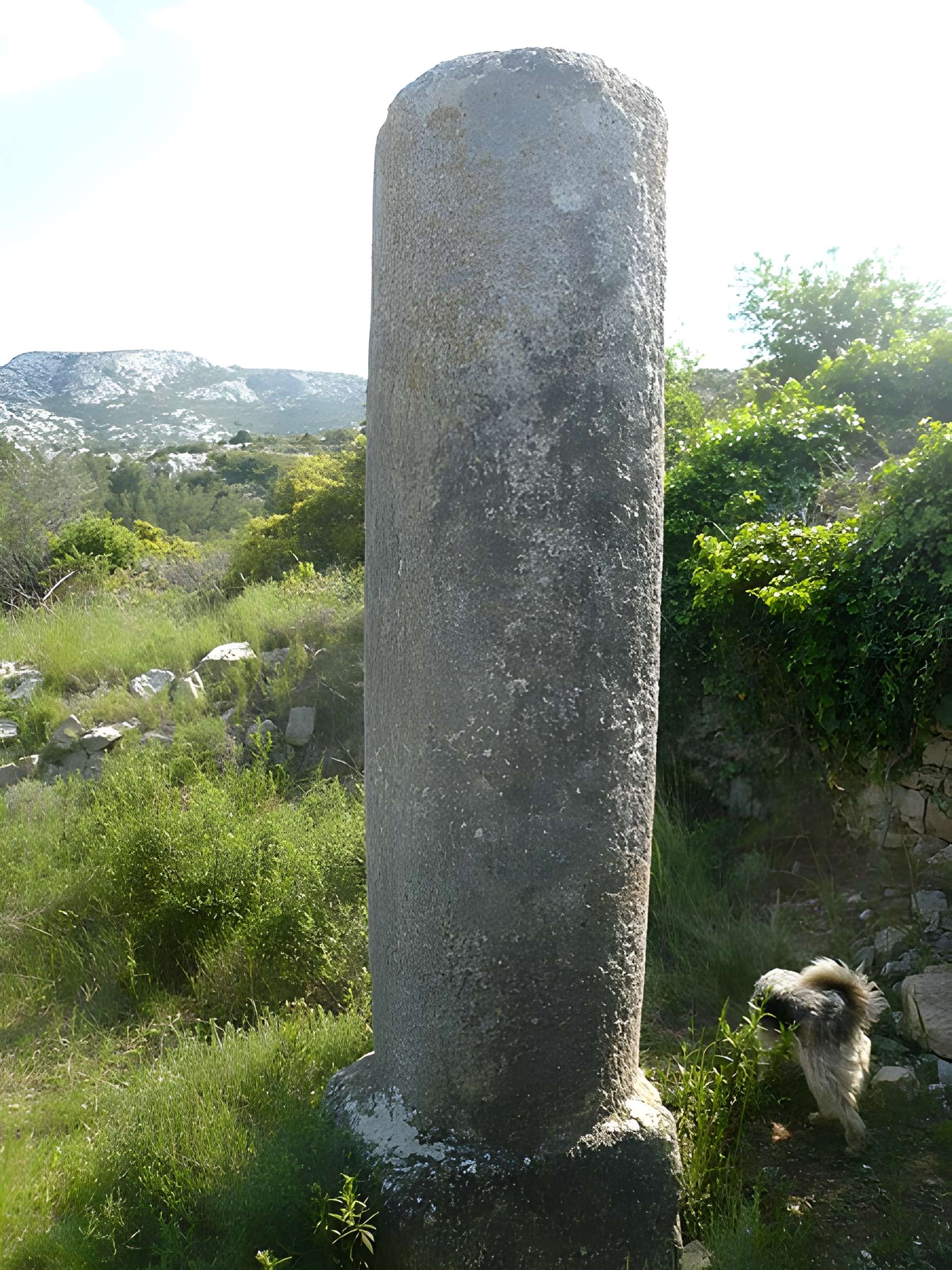 Bornes milliaires et vestiges d'habitat