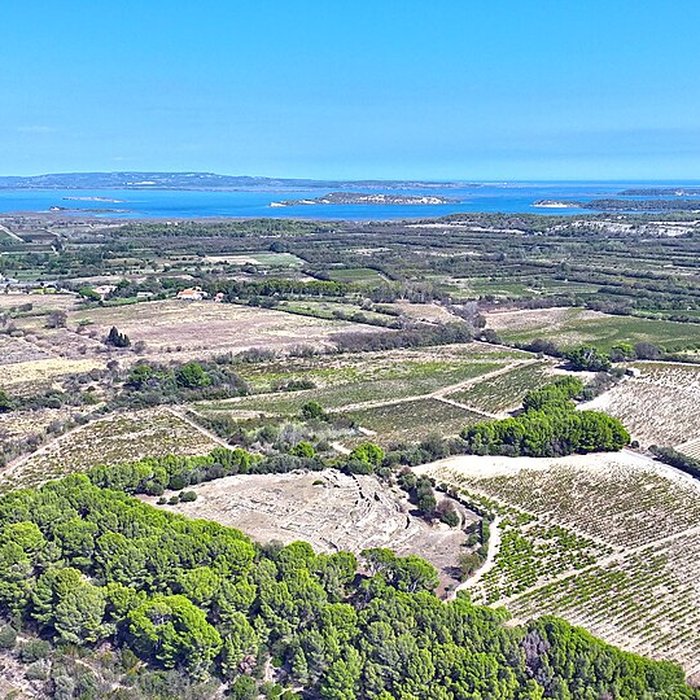 Photo de Vestiges de loppidum de Pech de Maho