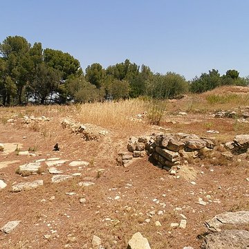 Vestiges de loppidum de Pech de Maho