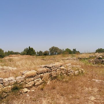 Vestiges de loppidum de Pech de Maho