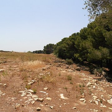 Vestiges de loppidum de Pech de Maho