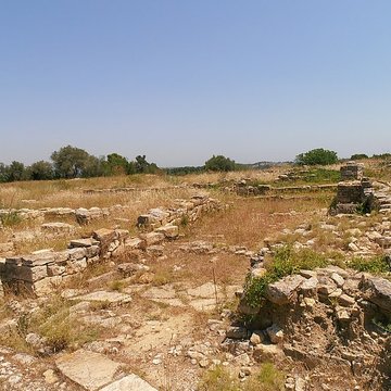 Vestiges de loppidum de Pech de Maho