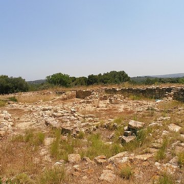 Vestiges de loppidum de Pech de Maho