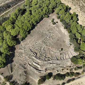 Vestiges de loppidum de Pech de Maho