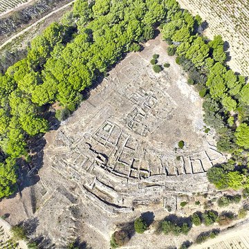 Vestiges de loppidum de Pech de Maho