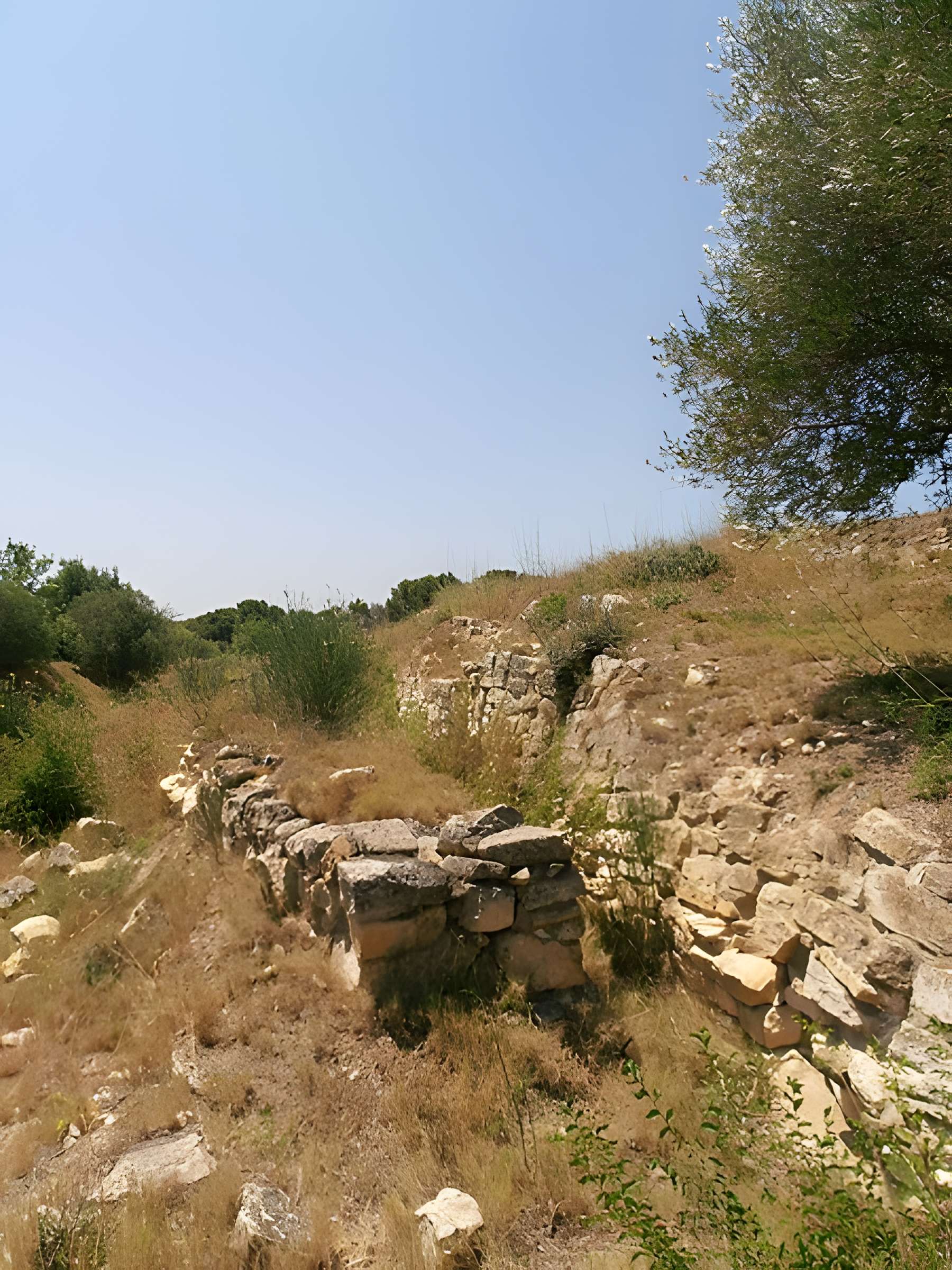 Vestiges de l'oppidum de Pech de Maho