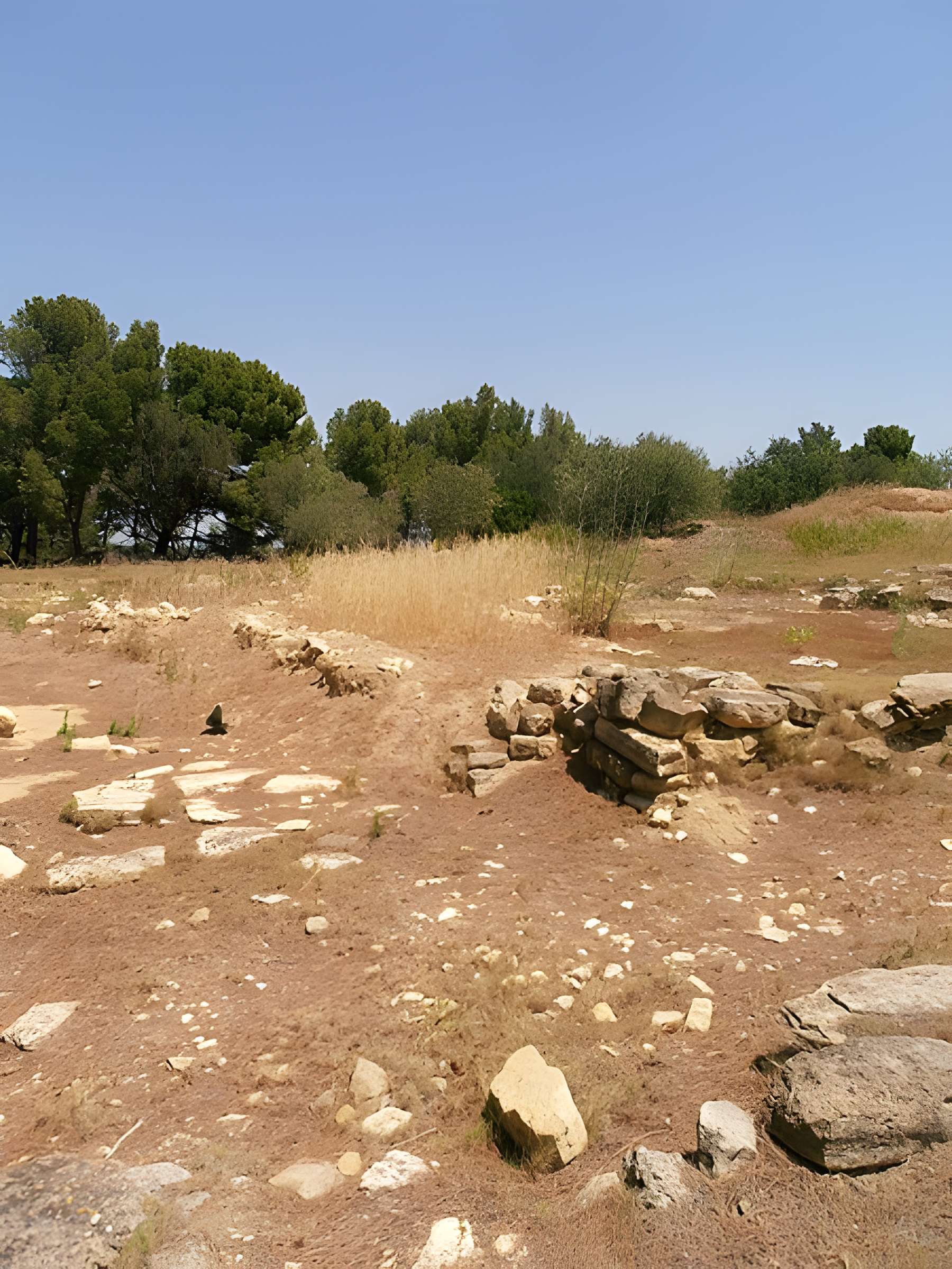 Vestiges de l'oppidum de Pech de Maho