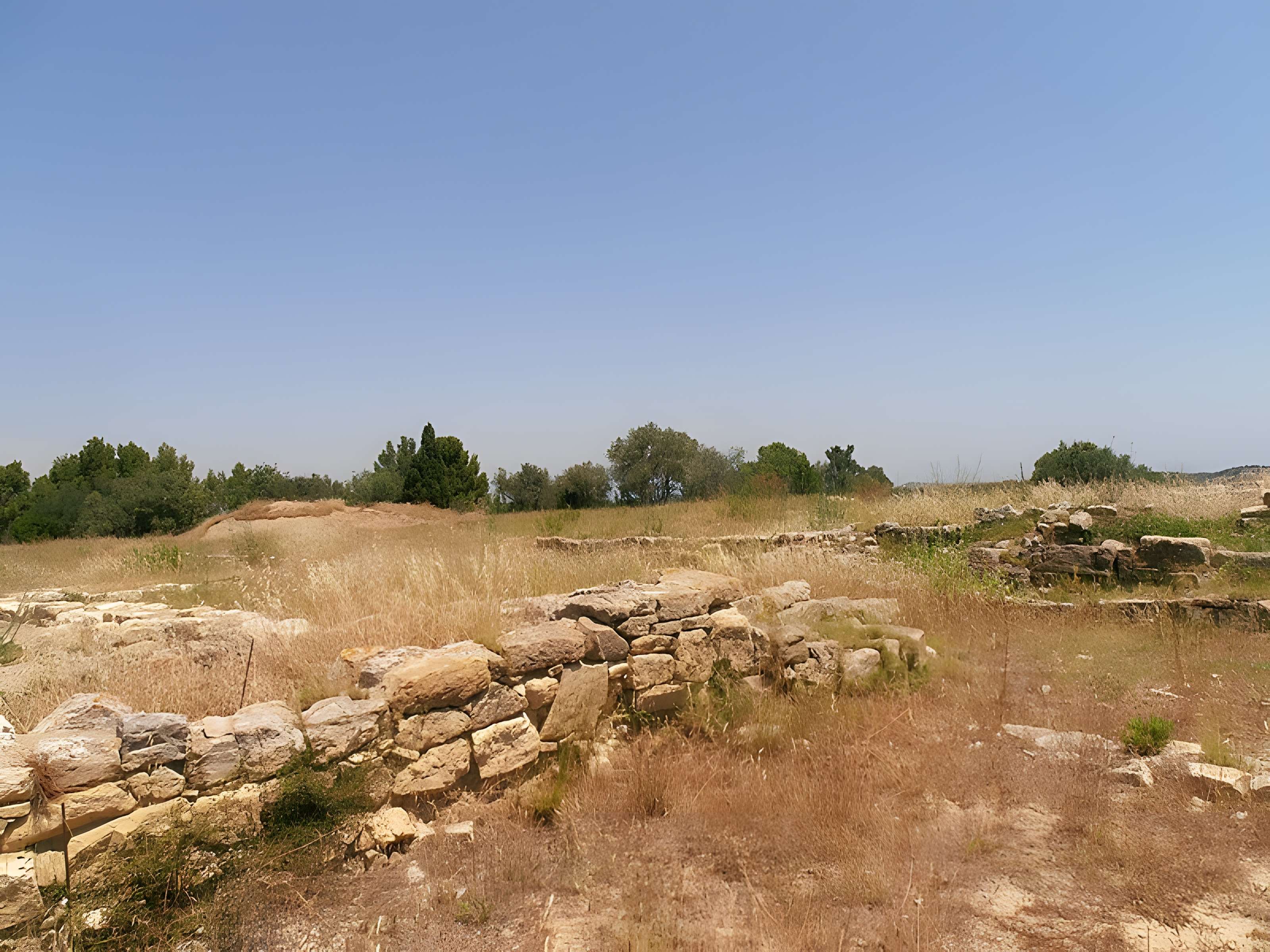 Vestiges de l'oppidum de Pech de Maho