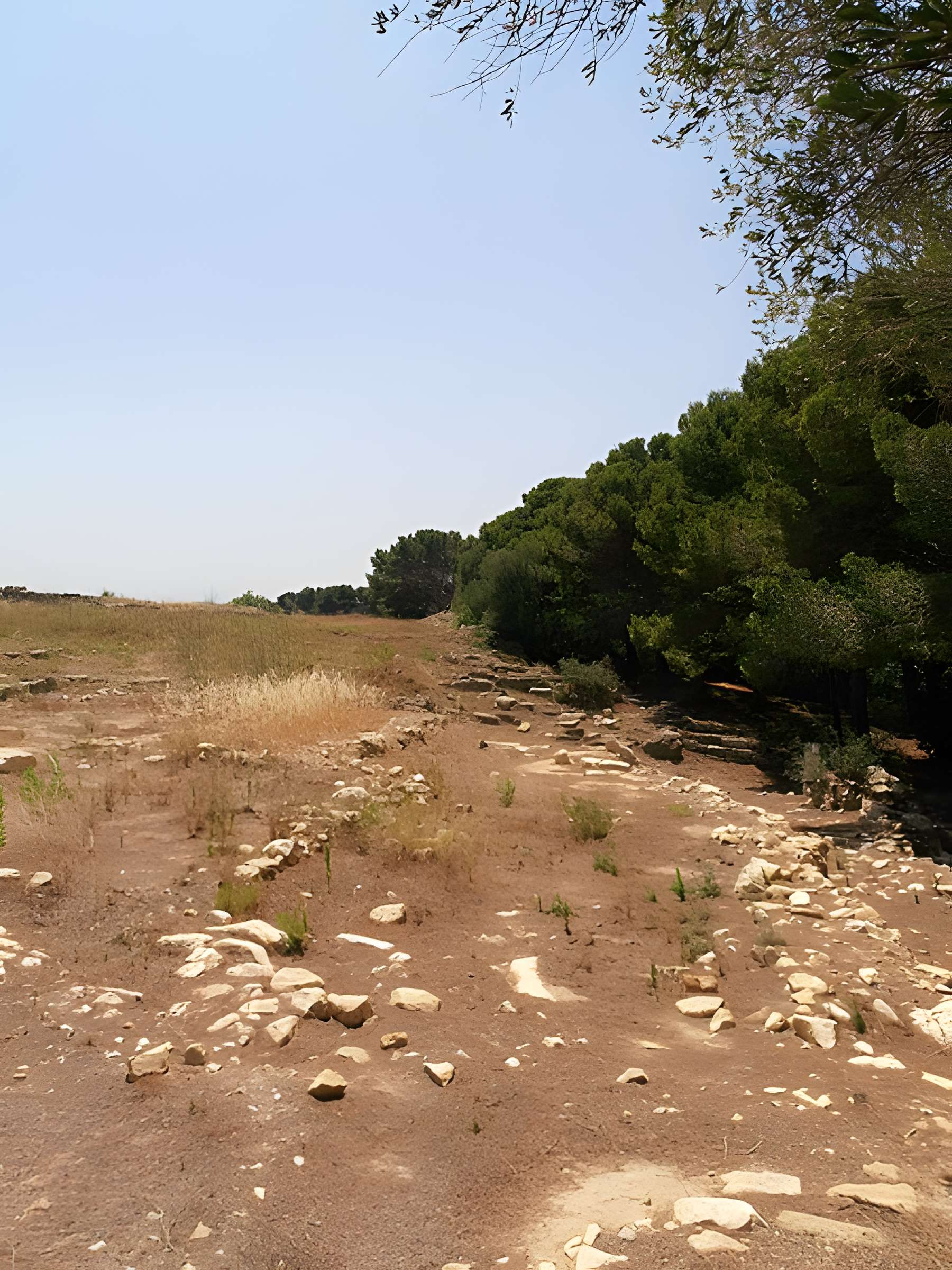 Vestiges de l'oppidum de Pech de Maho