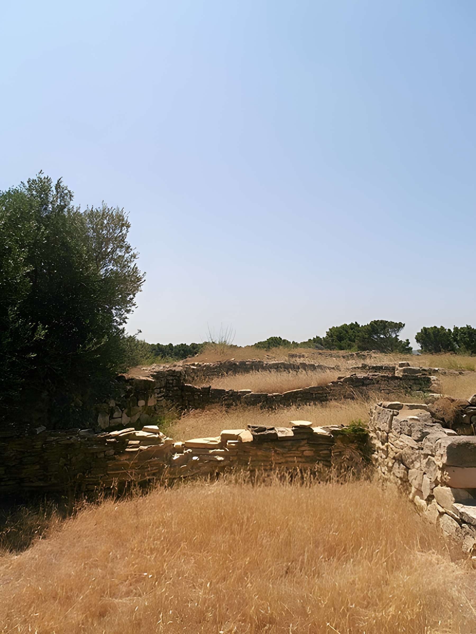 Vestiges de l'oppidum de Pech de Maho