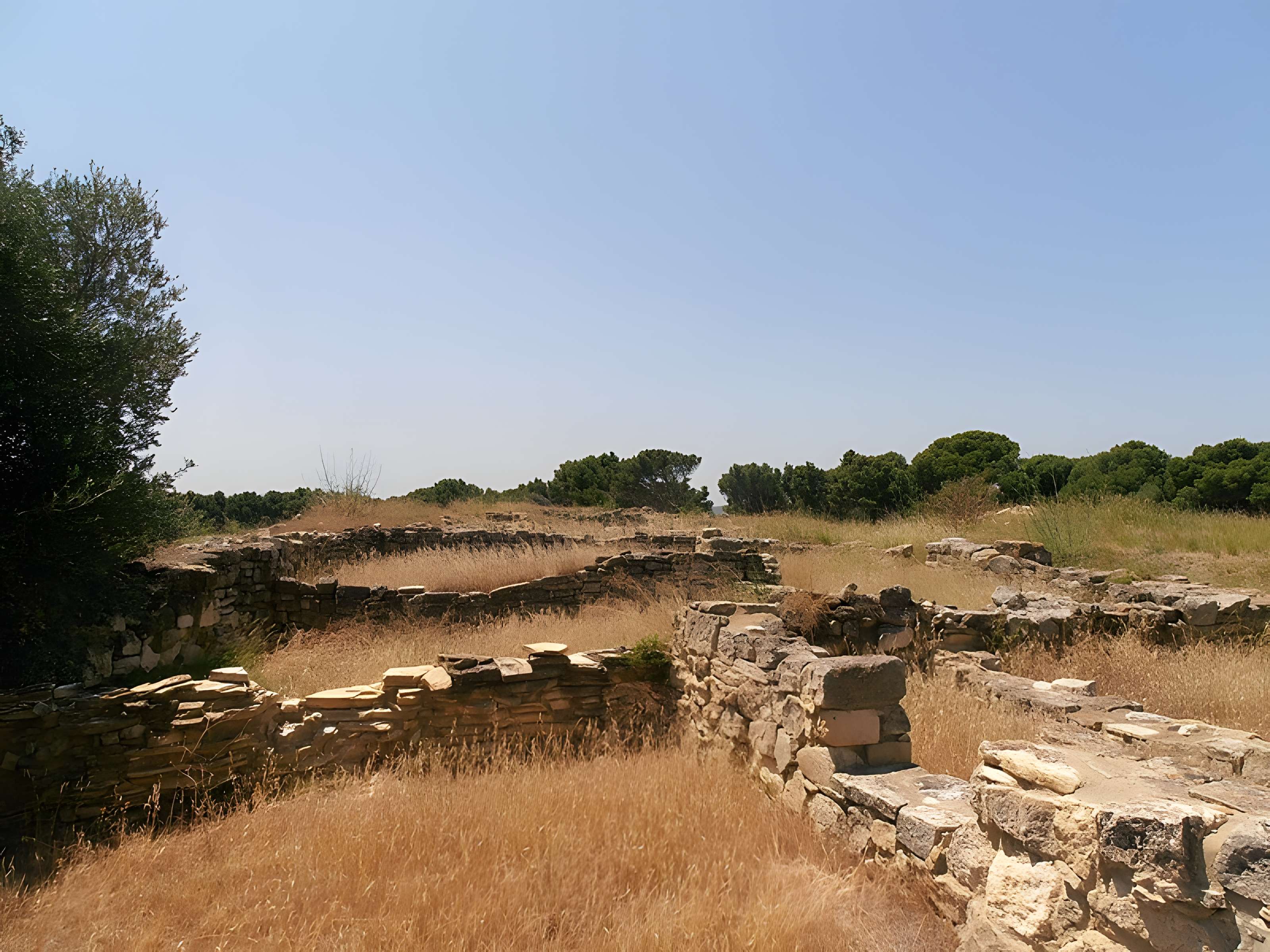Vestiges de l'oppidum de Pech de Maho