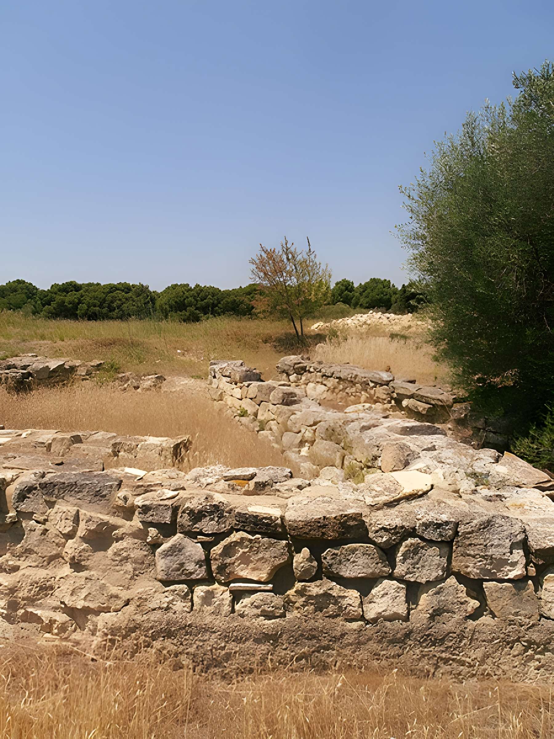 Vestiges de l'oppidum de Pech de Maho