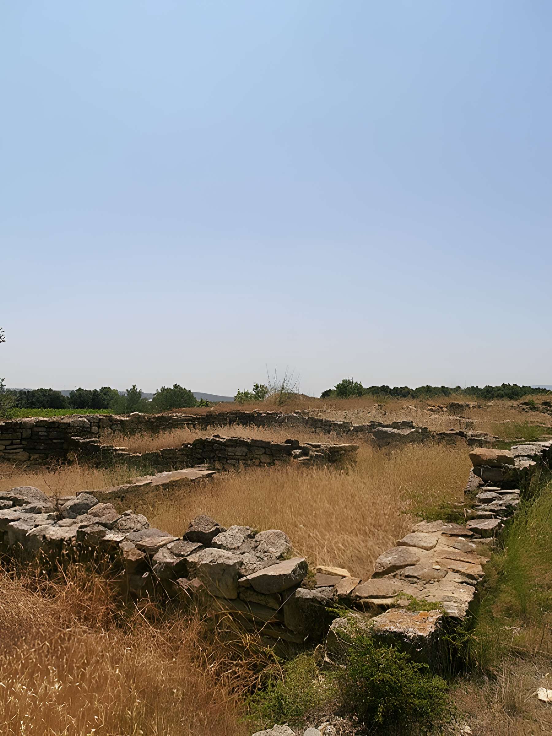 Vestiges de l'oppidum de Pech de Maho