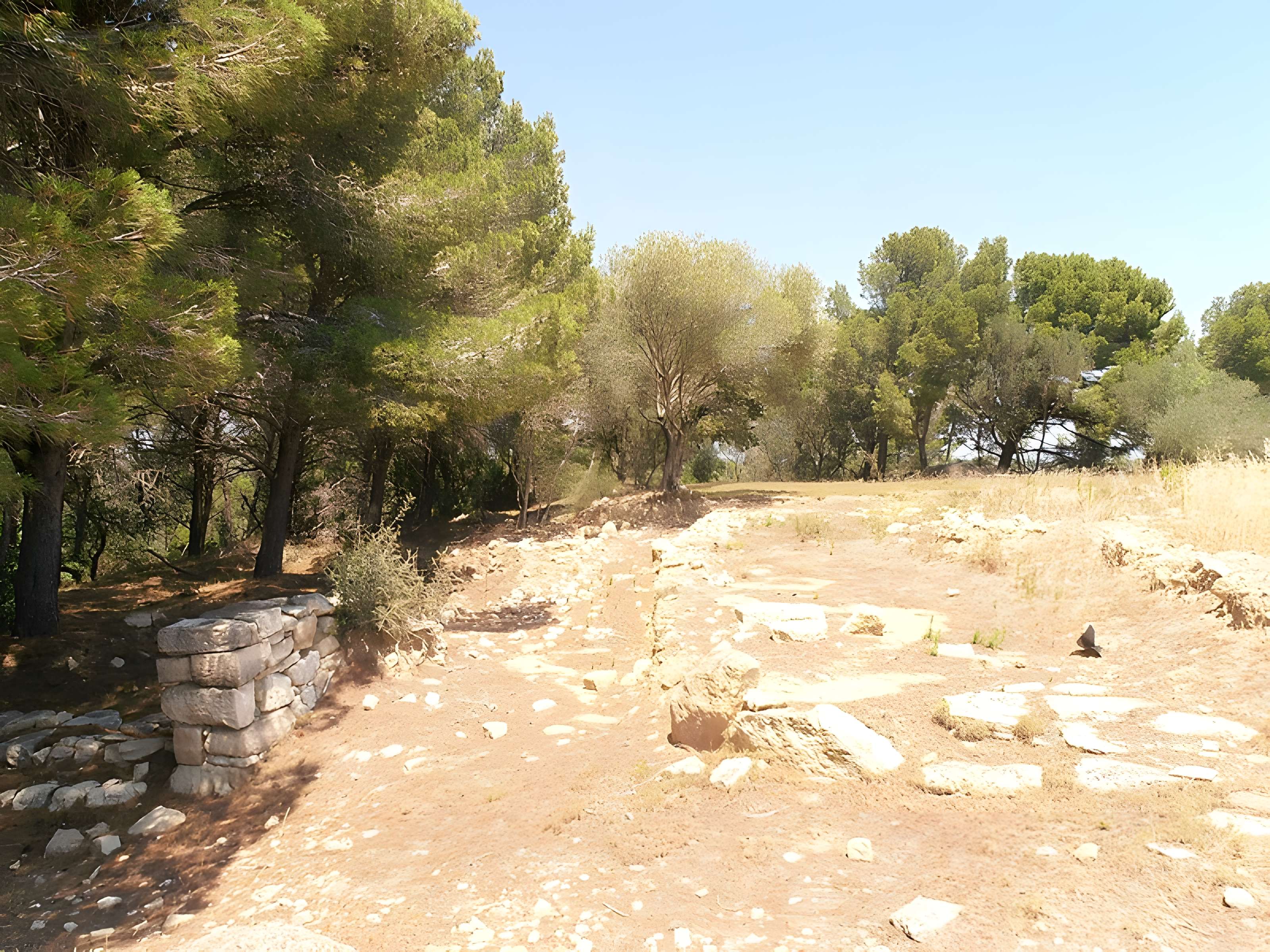 Vestiges de l'oppidum de Pech de Maho