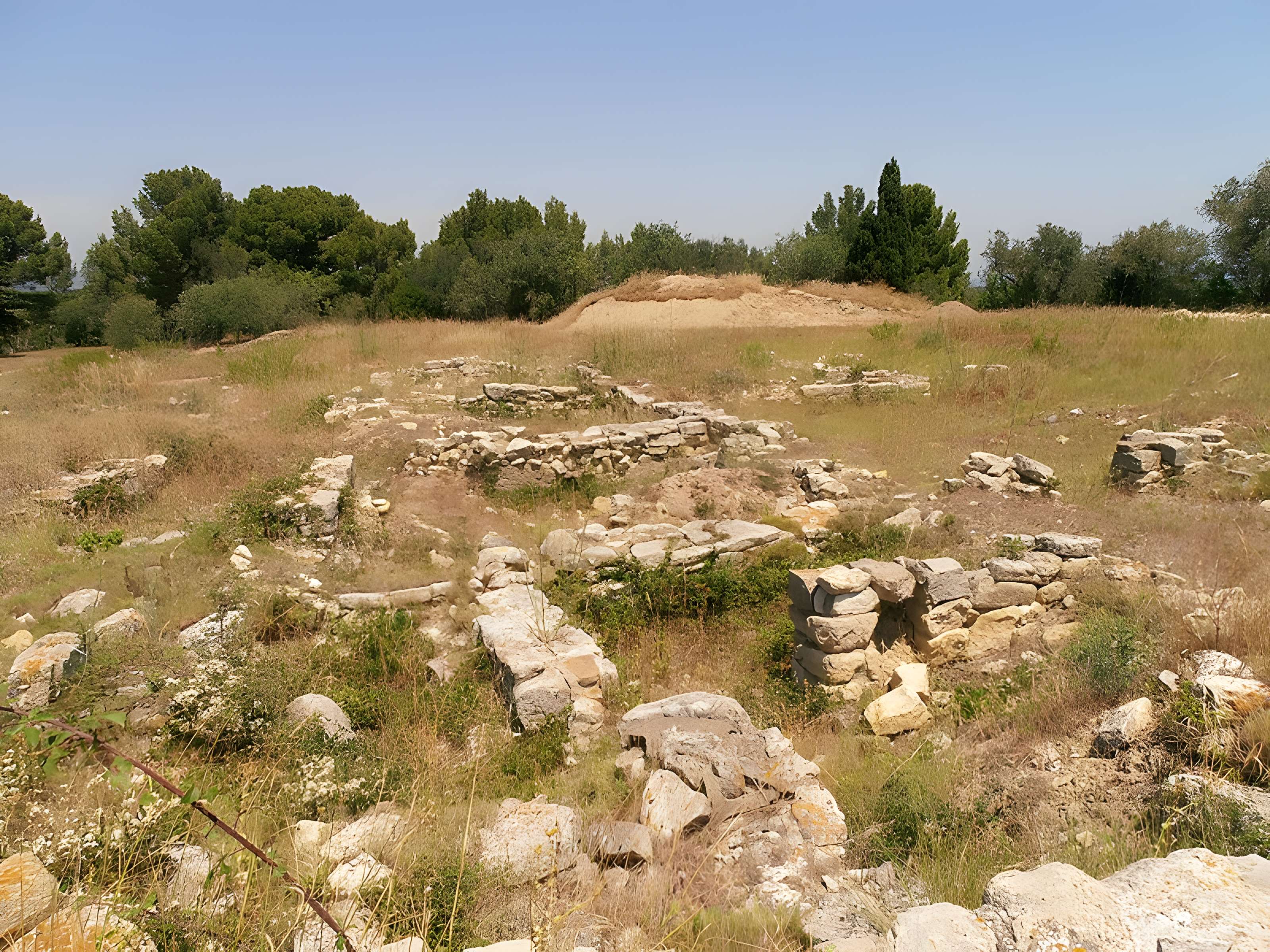 Vestiges de l'oppidum de Pech de Maho