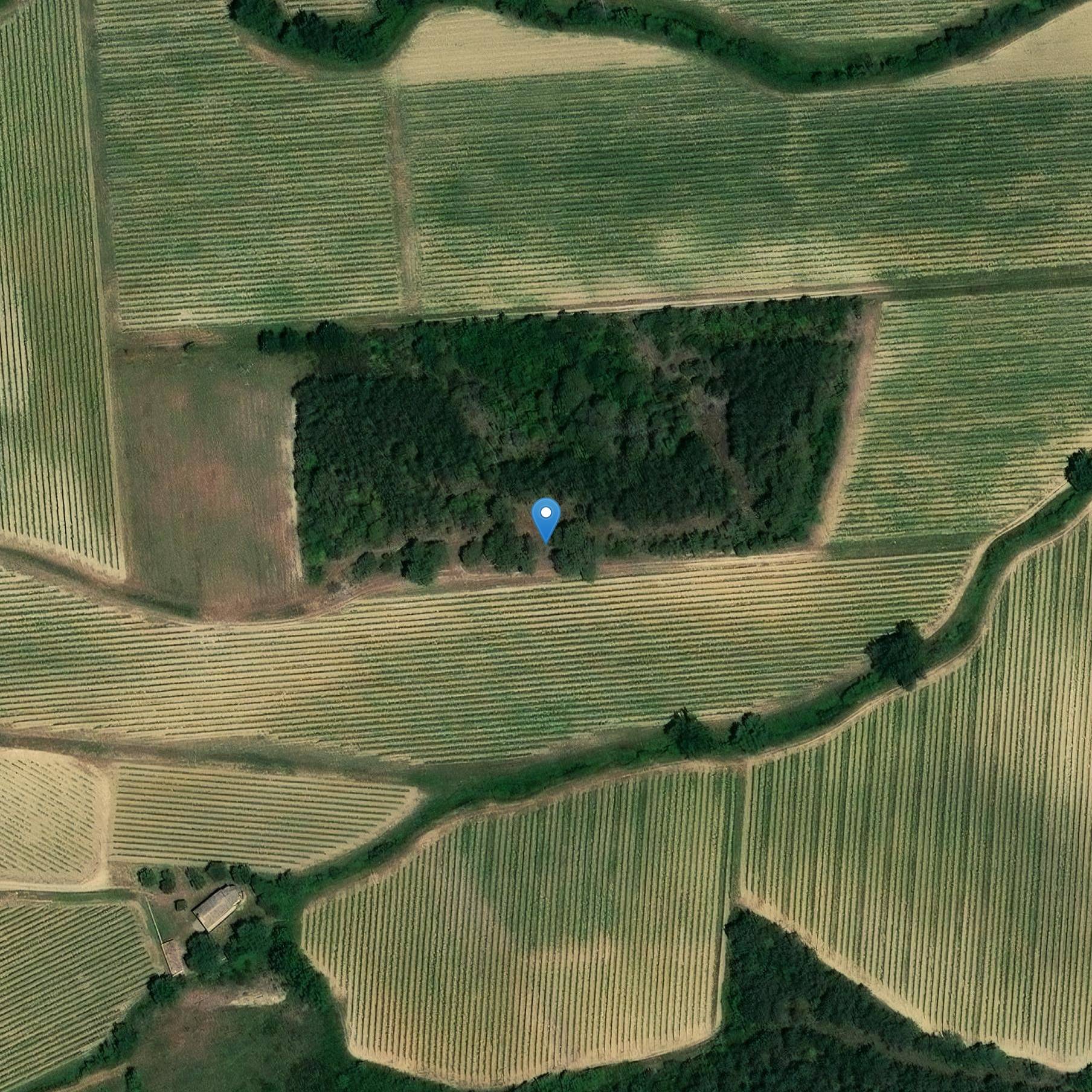 Photo de Monumento funerario gallo-romano