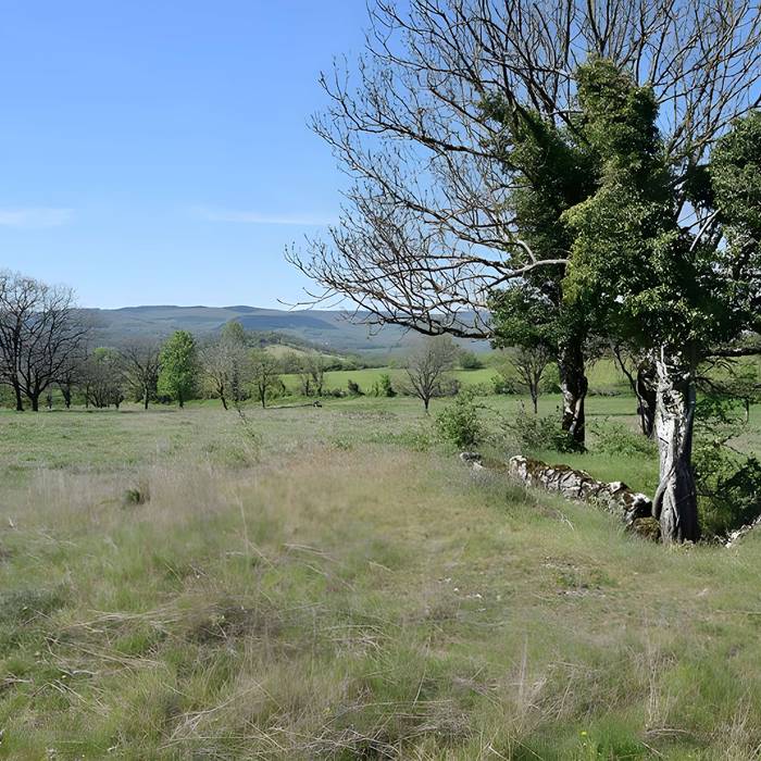 Photo de Sito archeologico del dolmen 1 delle Bourines