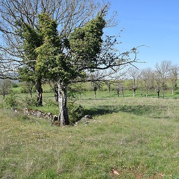 Site archéologique du dolmen 1 des Bourines
