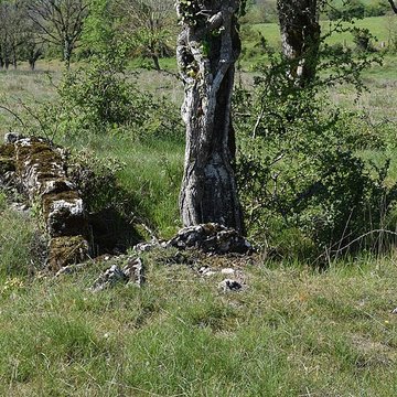 Site archéologique du dolmen 1 des Bourines