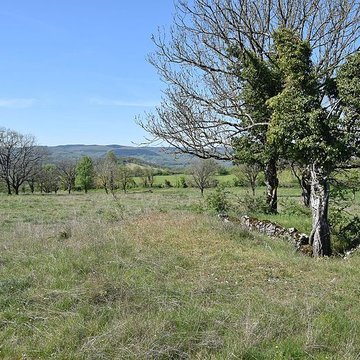 Site archéologique du dolmen 1 des Bourines