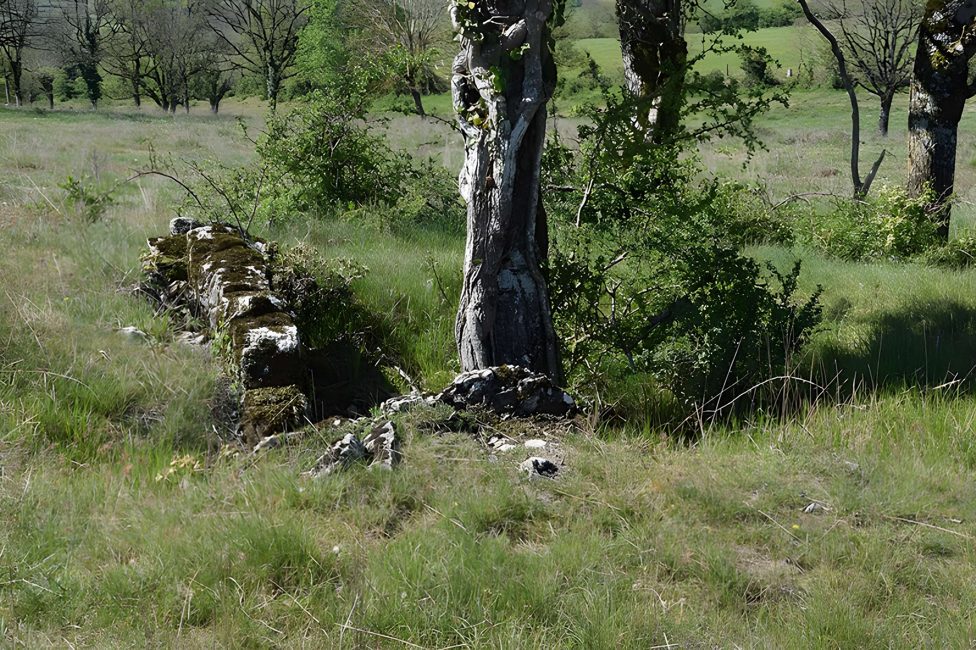 Site archéologique du dolmen 1 des Bourines