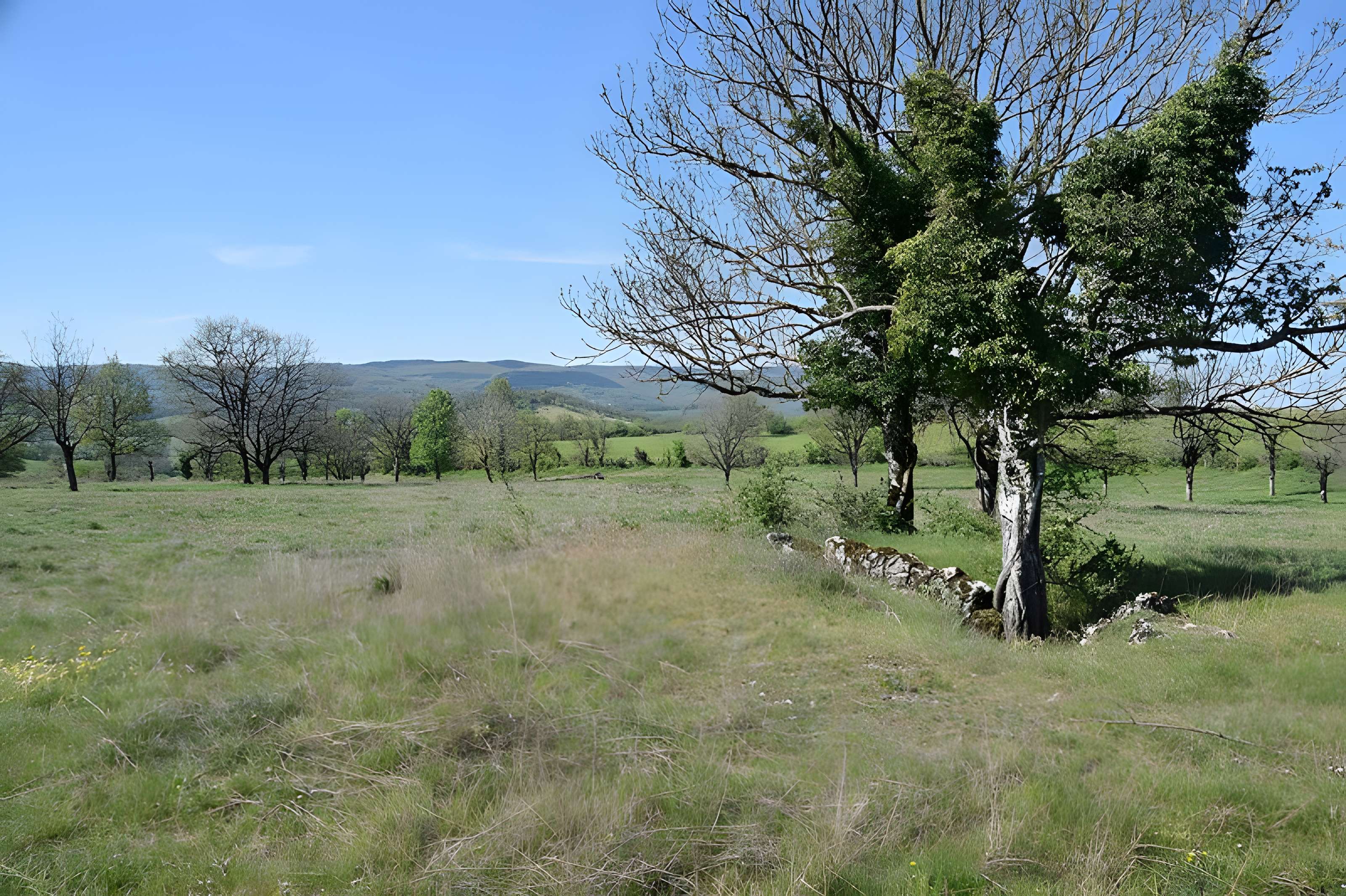 Site archéologique du dolmen 1 des Bourines