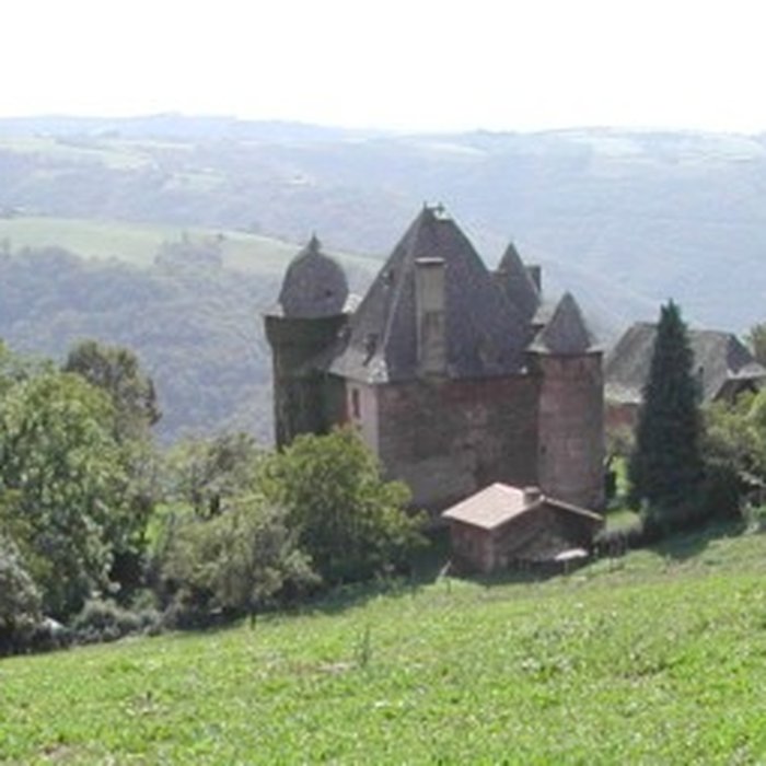 Photo de Château de Selves
