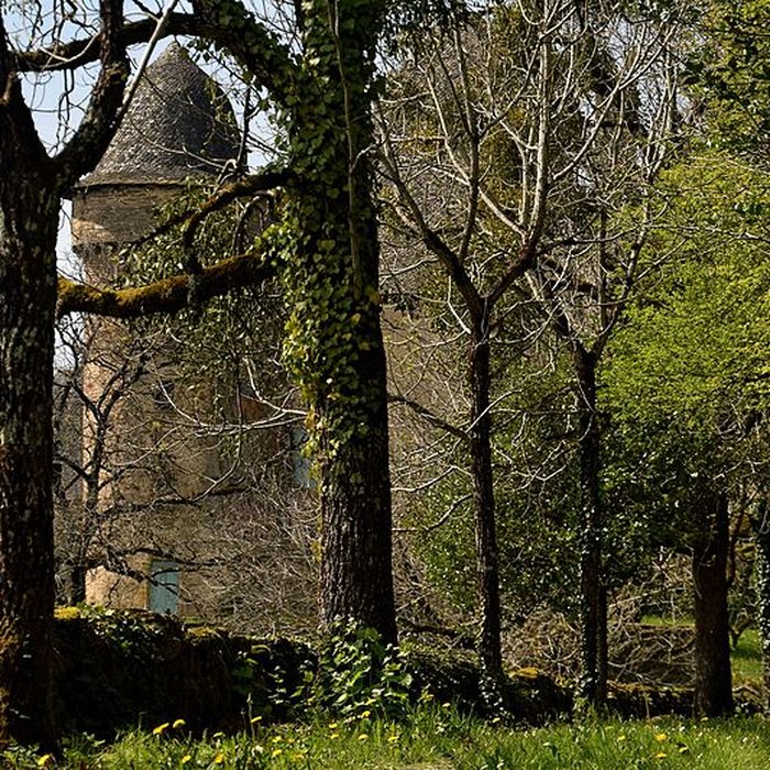 Photo de Château de Selves