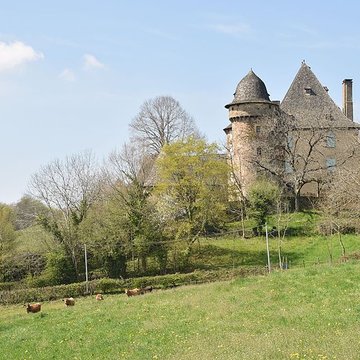 Château de Selves